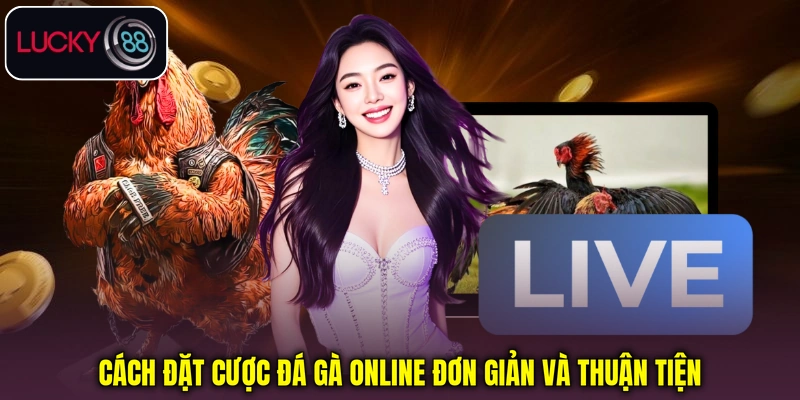 Cách theo dõi và tham gia đá gà trực tuyến Cách theo dõi và tham gia đá gà trực tuyến
