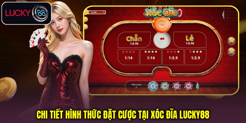 Chi tiết hình thức đặt cược tại Xóc Đĩa Lucky88