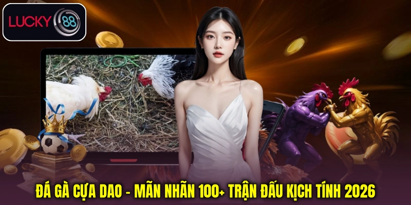 Đá Gà Cựa Dao - Mãn Nhãn 100+ Trận Đấu Kịch Tính 2026