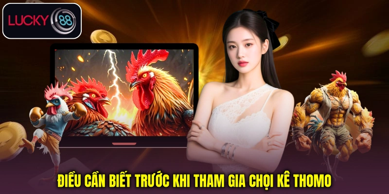 Điều cần biết trước khi tham gia chọi kê Thomo