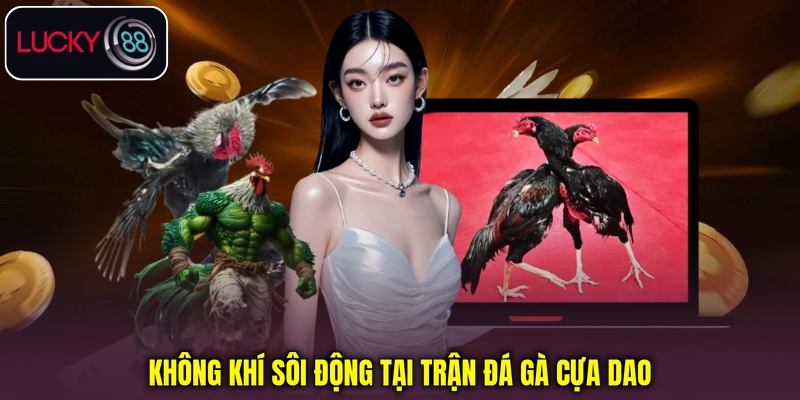 Không khí sôi động tại trận đá gà cựa dao Không khí sôi động tại trận đá gà cựa dao