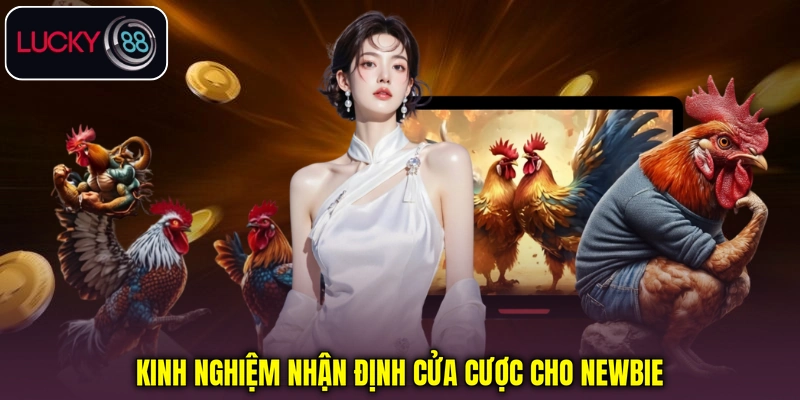 Kinh nghiệm nhận định cửa cược cho người mới Kinh nghiệm nhận định cửa cược cho người mới