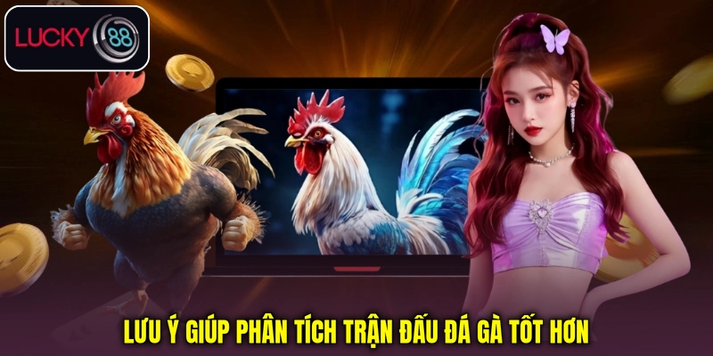Lưu ý giúp phân tích trận đấu đá gà tốt hơn