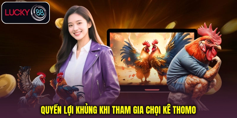 Quyền lợi khi tham gia chọi kê Thomo